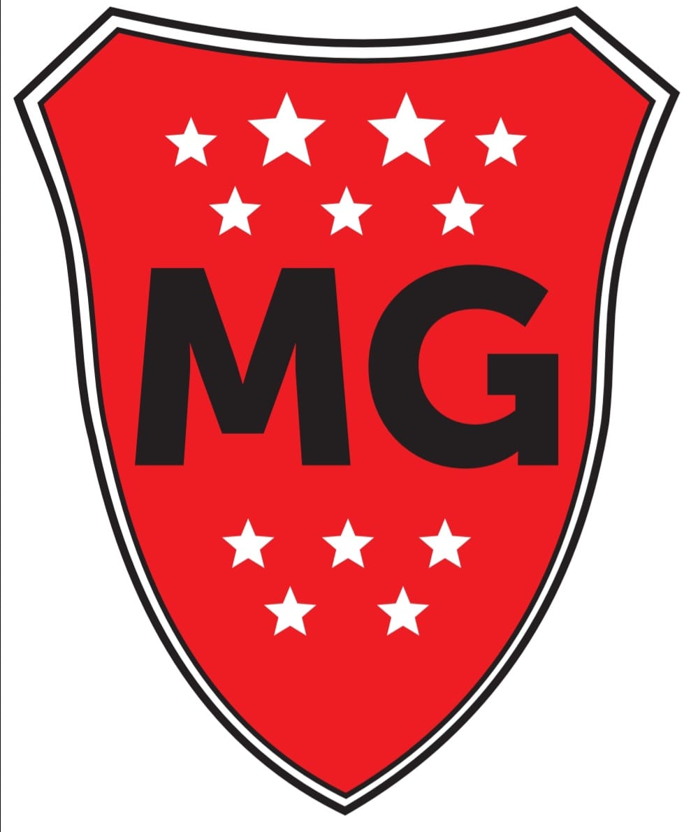 MARTIN GUEMES